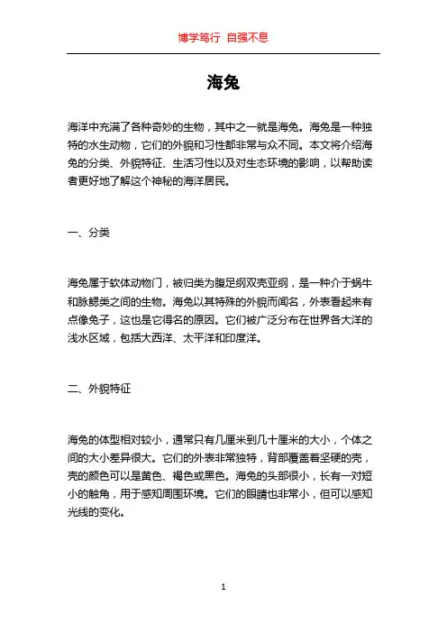 海兔_精品文档