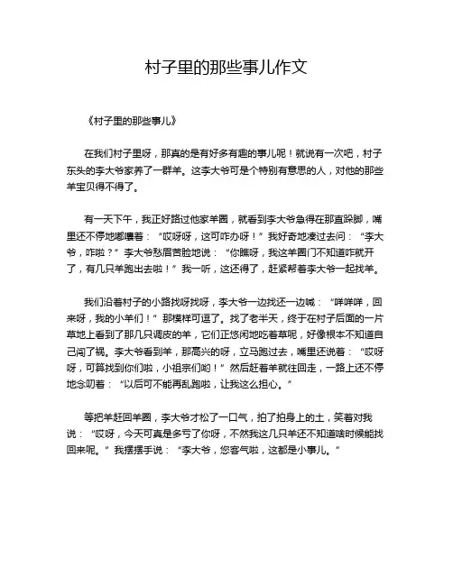 村子里的那些事儿作文