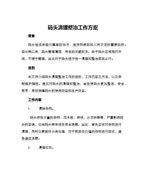 码头清理整治工作方案