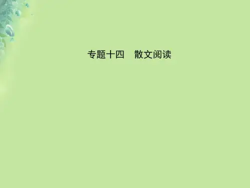 淄博专版19届中考语文专题十四文学类文本阅读