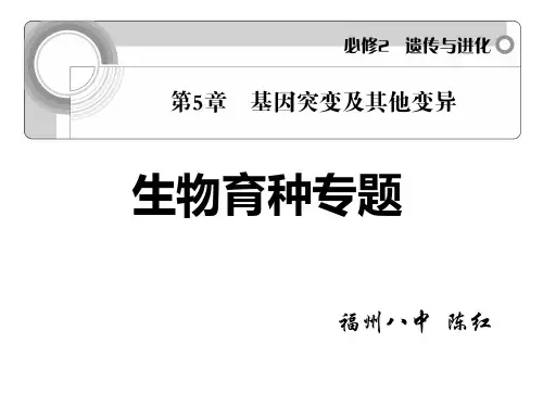 高三生物专题复习    生物育种