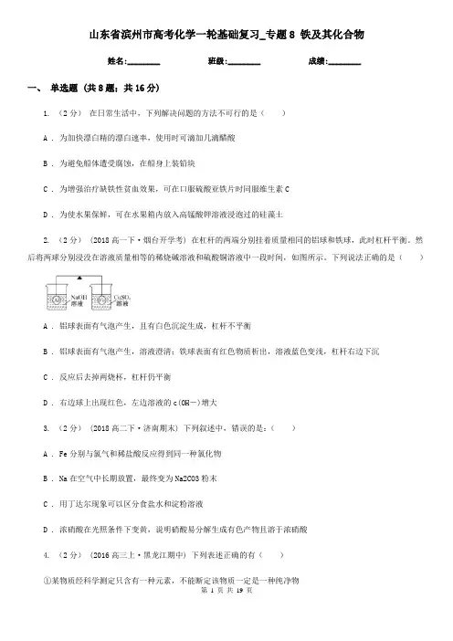 山东省滨州市高考化学一轮基础复习_专题8 铁及其化合物