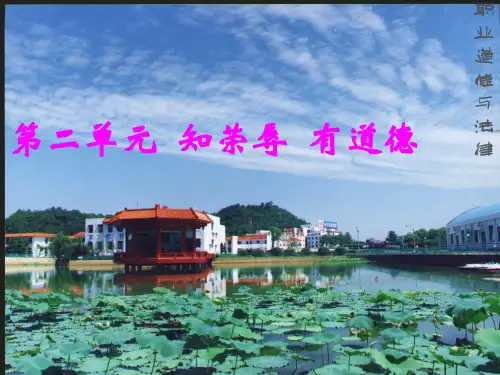 职业道德与法律第3课课件