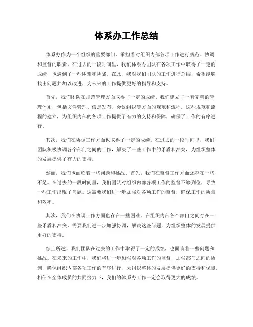 体系办工作总结