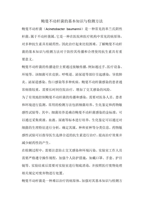 鲍曼不动杆菌的基本知识与检测方法