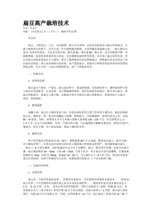 扁豆高产栽培技术