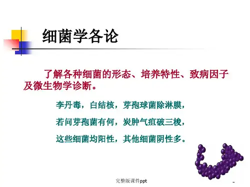 革兰氏阳性球菌(1)