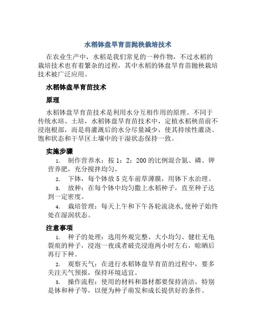 水稻钵盘旱育苗抛秧栽培技术