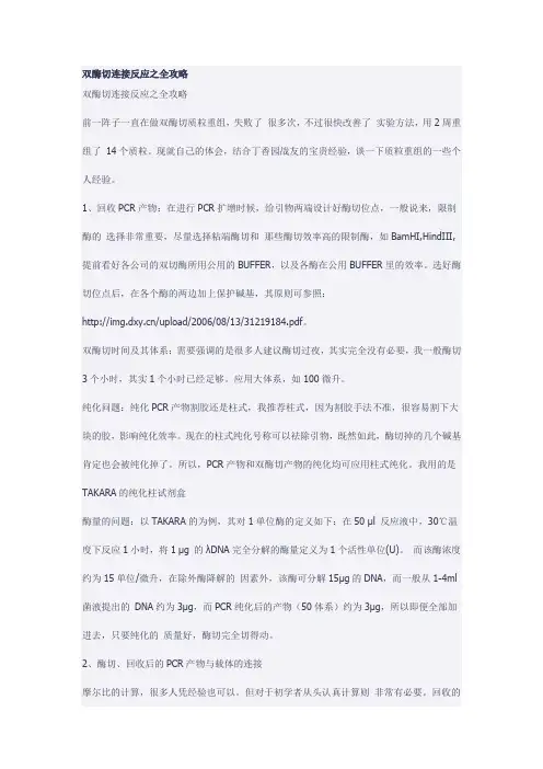 连接转化攻略