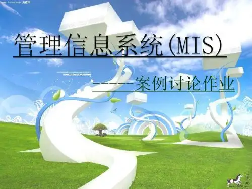管理信息系统(MIS)