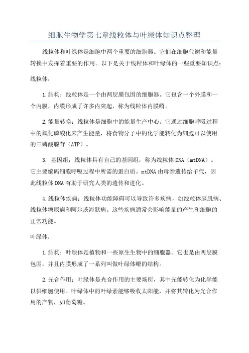 细胞生物学第七章线粒体与叶绿体知识点整理