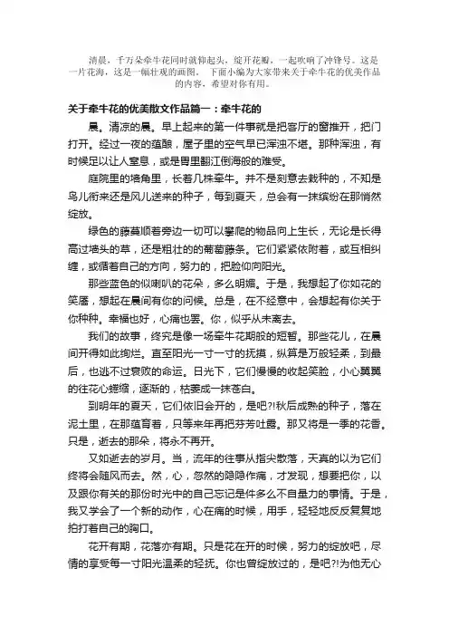 散文：关于牵牛花的优美散文作品