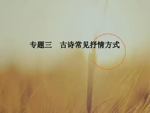 2018届高考语文二轮复习浙江专用课件 第六部分 回顾核心知识求突破 专题三