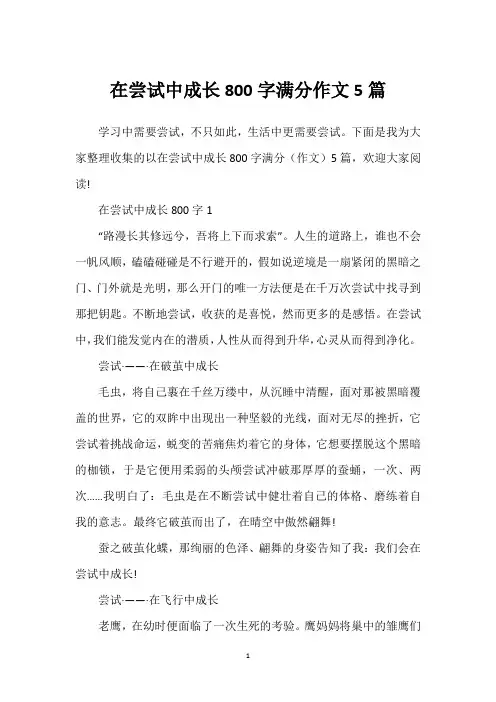 在尝试中成长800字满分作文5篇