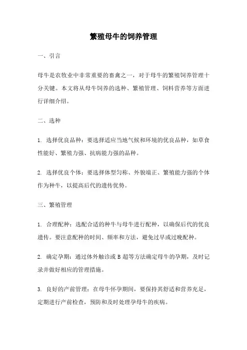 繁殖母牛的饲养管理