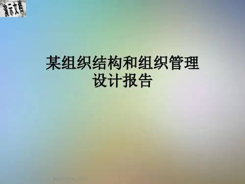 某组织结构和组织管理设计报告