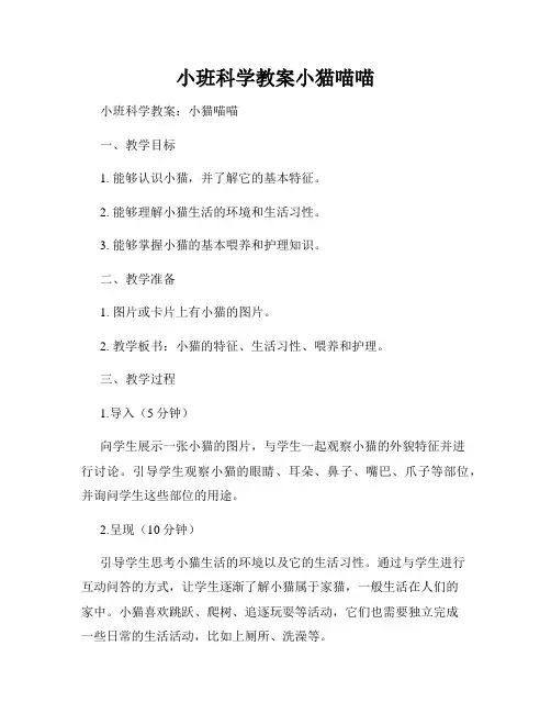 小班科学教案小猫喵喵