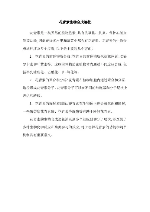 花青素生物合成途径