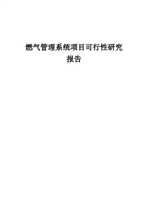 燃气管理系统项目可行性研究报告 (002)