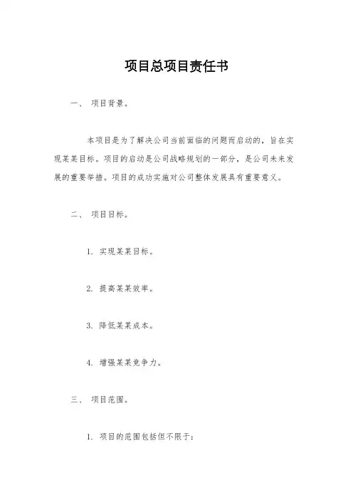 项目总项目责任书