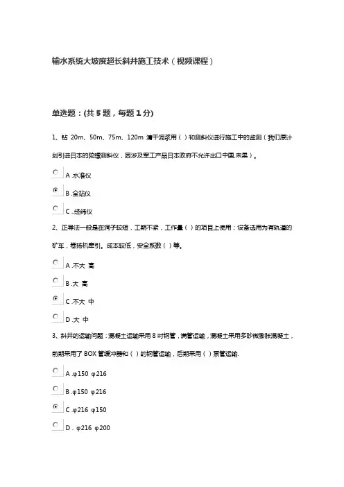 输水系统大坡度超长斜井施工技术