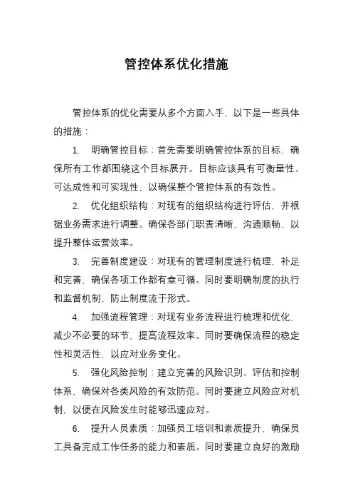 管控体系优化措施