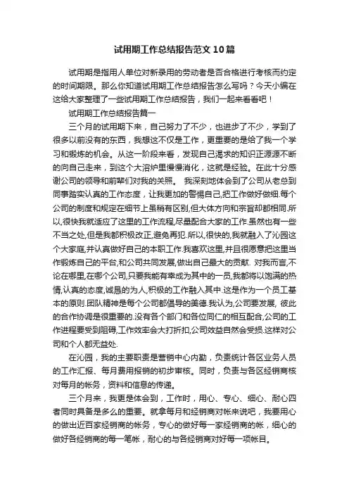 试用期工作总结报告范文10篇