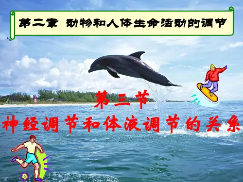 2.3 神经调节与体液调节的关系