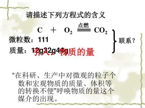 化学课件《化学计量在实验中的应用》优秀ppt36 人教课标版1