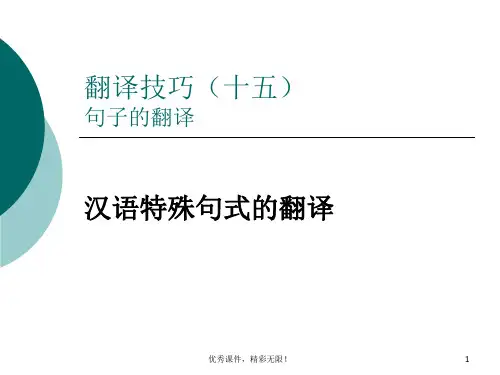 translationskills特殊句式的翻译.ppt