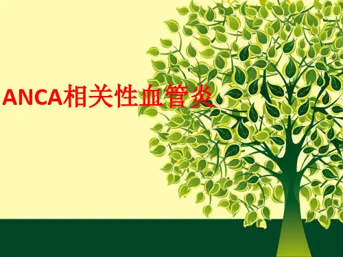 [课件]ANCA相关性血管炎PPT