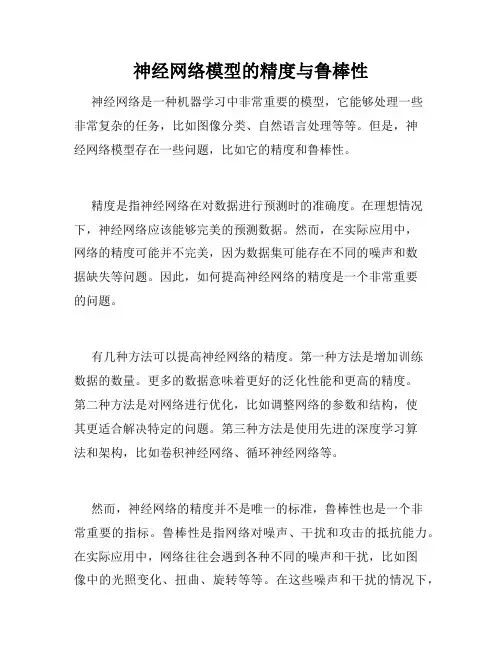 神经网络模型的精度与鲁棒性