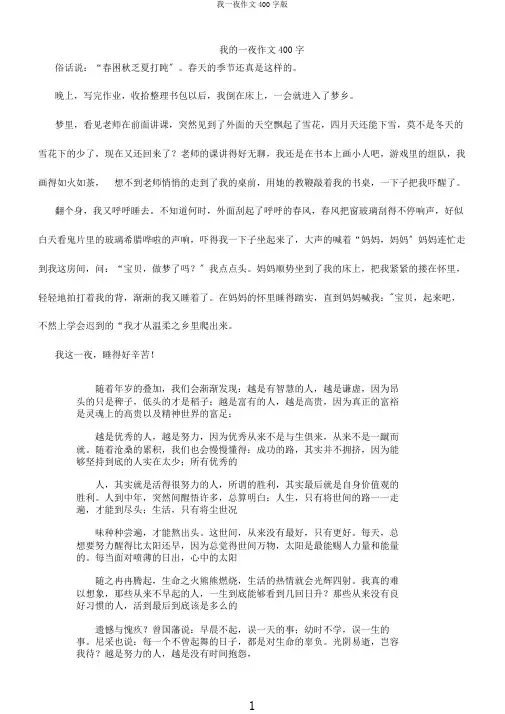 我一夜作文400字版