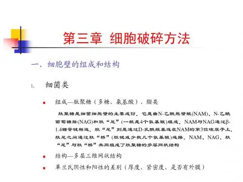 第三章 细胞破碎 应国清老师课件
