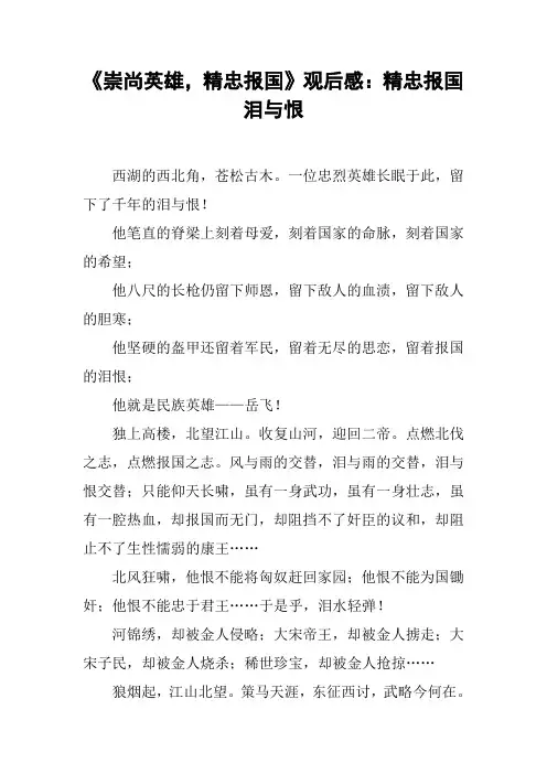 《崇尚英雄,精忠报国》观后感：精忠报国泪与恨