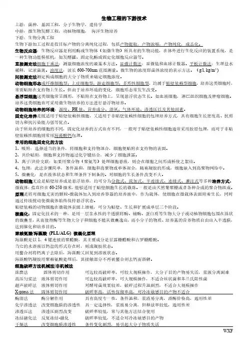 生物工程下游技术