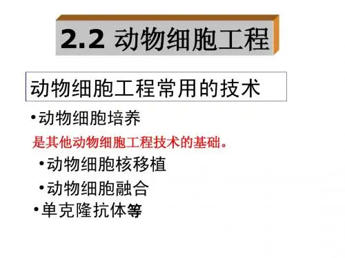 lrf2.2 动物细胞工程