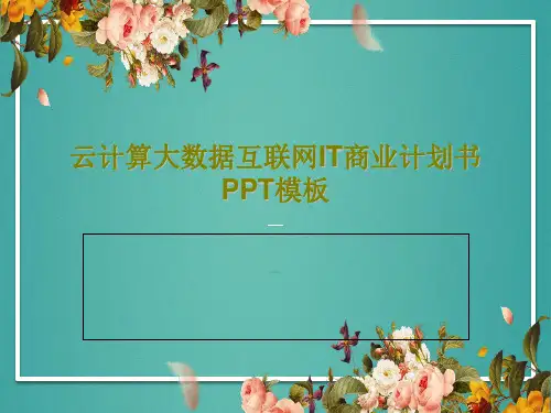 云计算大数据互联网IT商业计划书PPT模板共28页PPT