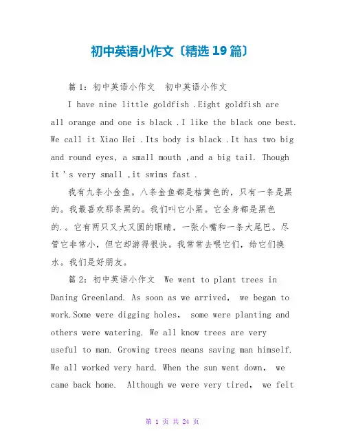 初中英语小作文(精选19篇)