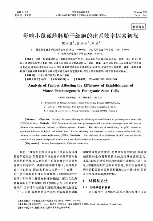 影响小鼠孤雌胚胎干细胞的建系效率因素初探