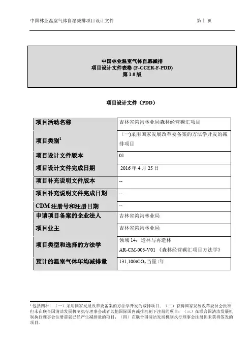 项目活动名称
