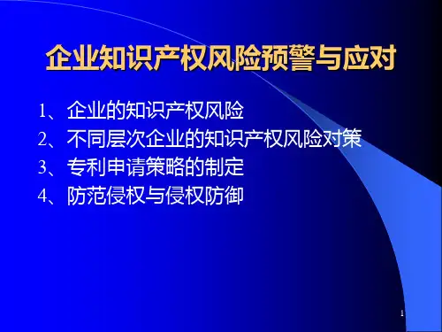 企业专利风险预警与应对 PPT课件