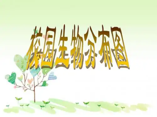 教科小学科学六上《4.2、校园生物分布图》PPT课件(7)