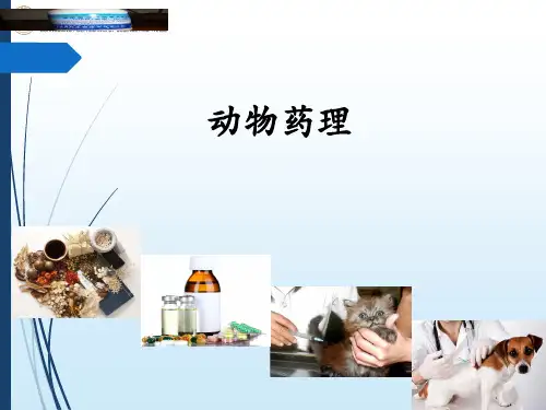 动物学习指南动物药理