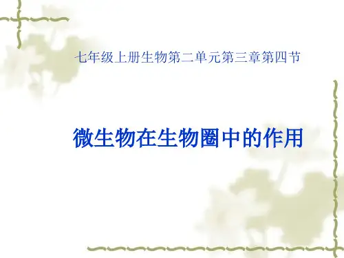 【初中生物课件】微生物在生物圈中的作用