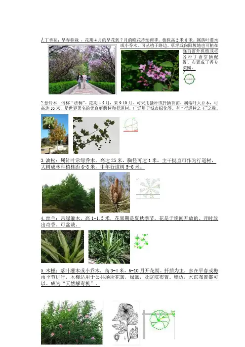 植物种类