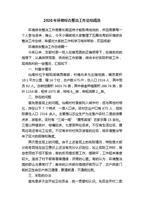 2020年环境综合整治工作总结精选