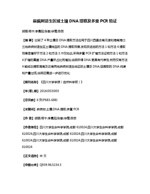 麻疯树适生区域土壤DNA提取及多重PCR验证