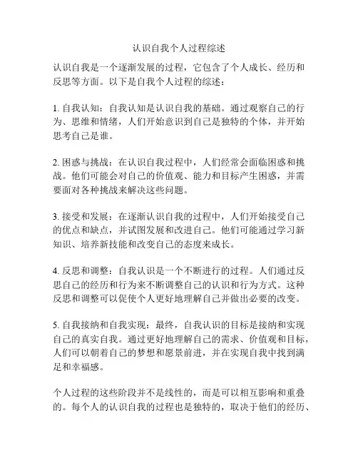 认识自我个人过程综述