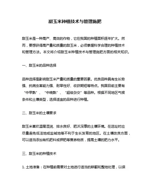 甜玉米种植技术与管理施肥